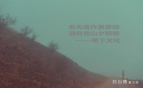 表示一首诗