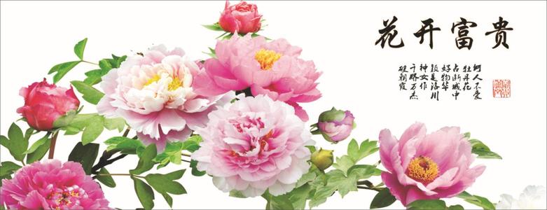 牡丹开花写入一个男人