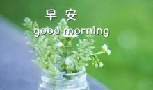 心情句子说说心情短语