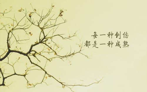 15.在敦班的学习染色非常多。