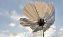 不珍惜会失去友情句子