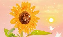 适合新年发的文案