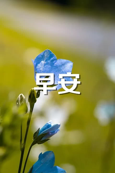 朋友圈十个字谈论短语