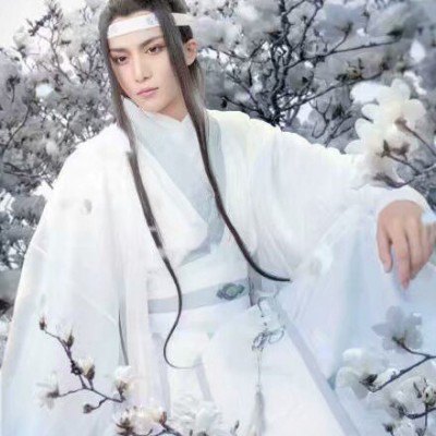 描述句子1句子1