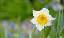 关于友情悟道的句子