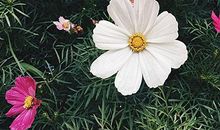 友情是无期的句子