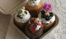 友情相遇的唯美