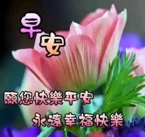 对于早上的领导者问候SMS 1