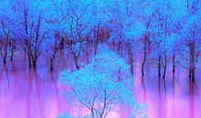 友情离别的短句子唯美