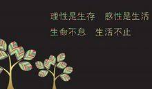 超短名言名句大全