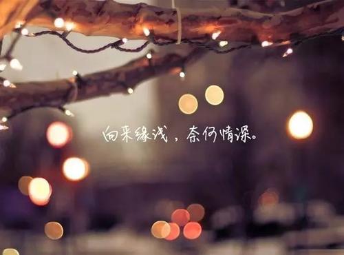 关于晚安的完美短句