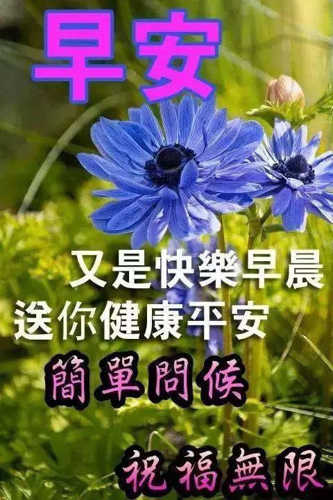 有趣的幽默清晨清晨