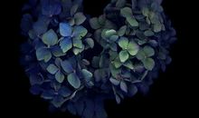 描写老顾客友情的句子