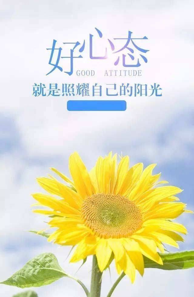 19.愿你的世界永远充满阳光，没有额外的悲伤。我希望你能坐在路上陪伴，是你最愉快的外观。早上好！