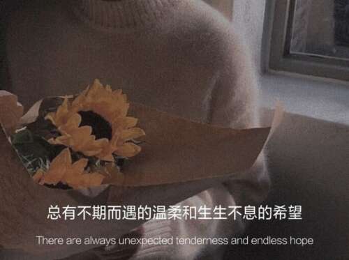 人类烟花神童话句