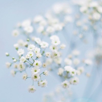 15.生活中最美丽的事情就是朋友。我会心情愉快。