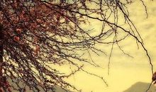 好久不见友情的唯美句子