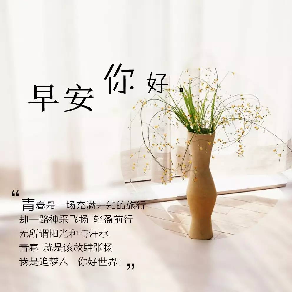 早上的报价适合朋友圈的清晨句子1