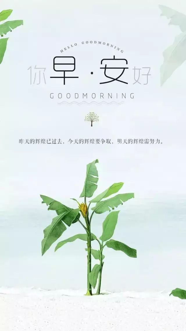 15，眼中有美丽，我心中有爱，每天都是春天开花，早上好！