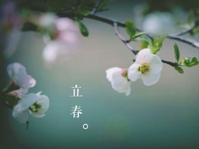 李淑立早期的报价