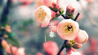 李淑早期和灵感报价1