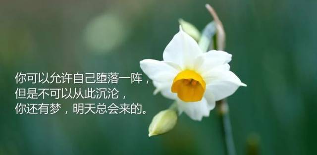 合适的短句来表达相对圆圈