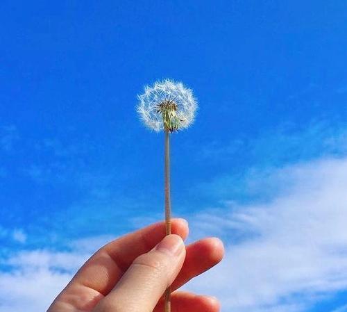 在早上问候文本消息