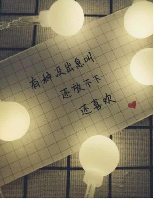 可以表达什么句子
