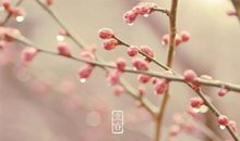 立春的句子唯美抒情