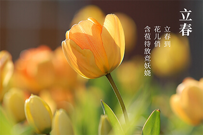 最美丽的春天祝福1