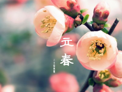 温暖的春天，春天的问候问候