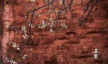 立春的优美句子