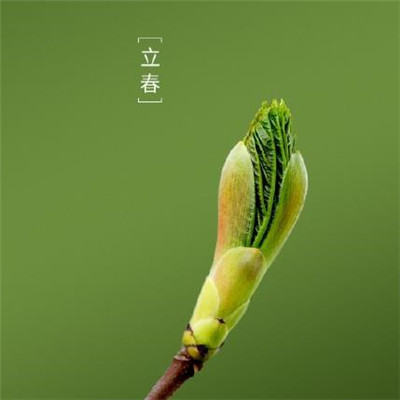春天的句子说