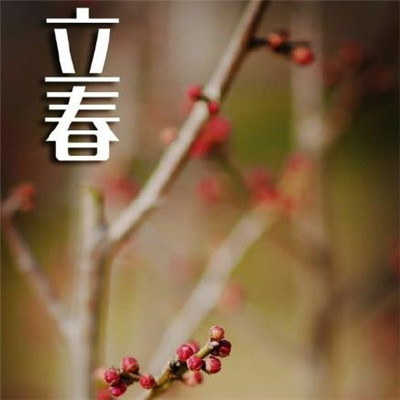 15.春风带走了你，春雨在你周围吉祥，春天迅速追逐你，春天的花朵充满了幸福的帽子。李生到了，送你的春天问候，我希望你能在春天开心！