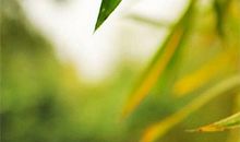 立春的句子唯美抒情短句