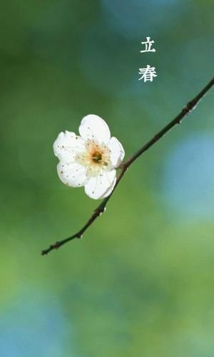 午餐早上好问候1