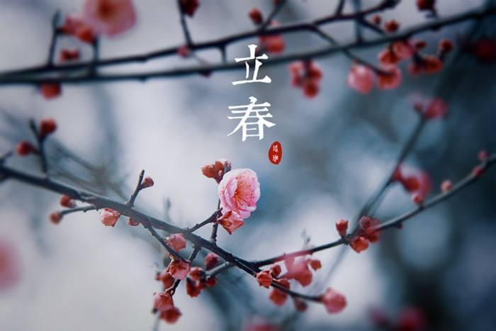 李春伟说，Sentenceli四川说句子1