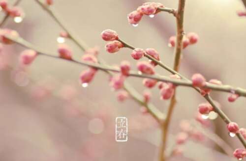 李四川说句子2