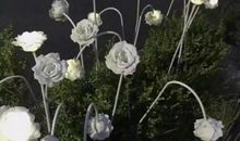 微信置顶的文案句子