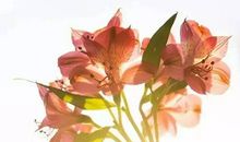 霸气英文队名和口号押韵的