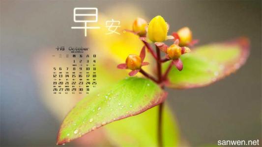 微信的朋友一句话