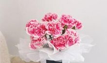 3.8妇女节心情说说2021