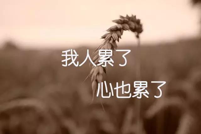 13.在该区的风，山洪在哪里。