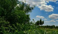 友情非主流句子伤感说说