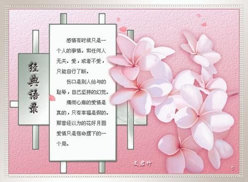 婚姻言论记录简单的经典报价负责