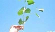 吸引女生朋友圈说说