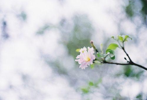 2021年新年的鼓舞人心的积极能源判决1