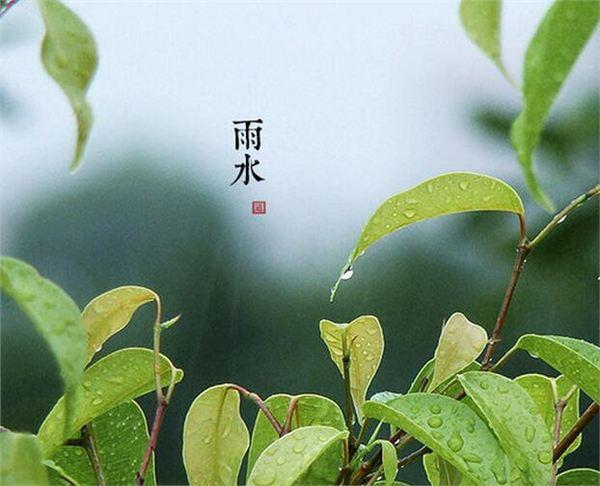 40，雨可以被解雇，咬住它，打开心脏，打开心灵，心情舒适;雨是明亮的，丝绸被触摸，文字留言祝福，这些词更交织在一起。水季，扔掉它，快乐的时光，舒适！