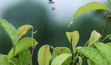 雨水节气的朋友圈说说