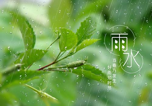 雨天和太阳能条款